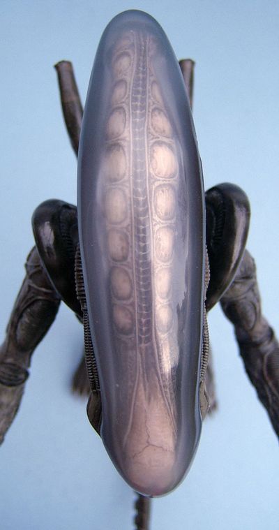 Alien Big Chap sixth scale action figure by Hot Toys