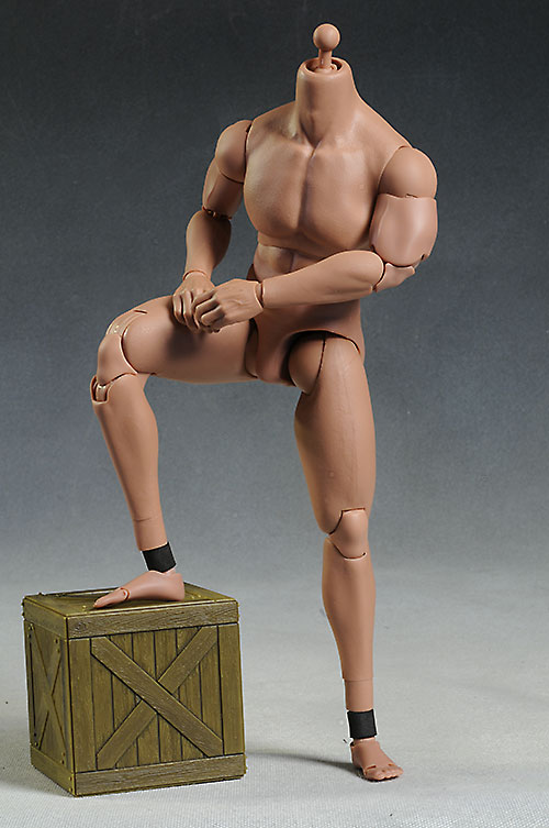 Hot Toys TTM 20, 21, 22 sixth scale male action figure bodies