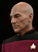 Captain Picard Star Trek sixth scale action figure