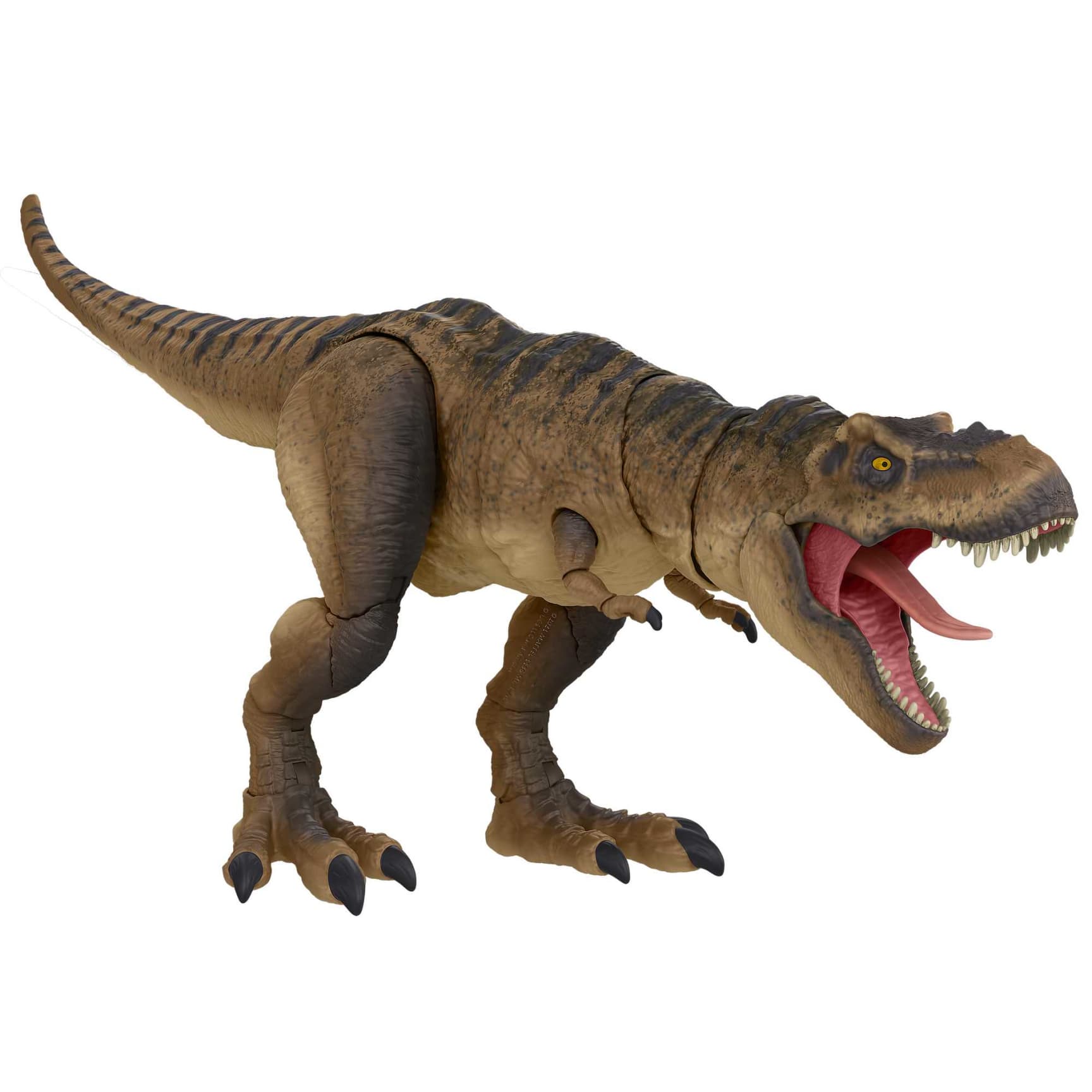 Hammond Collection T4-Rex