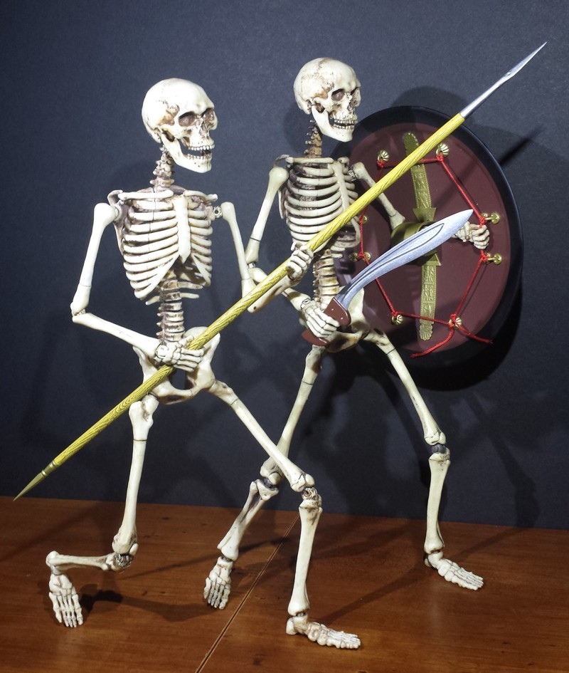 Human Skeleton sixth scale action figure by COO/COOMODEL