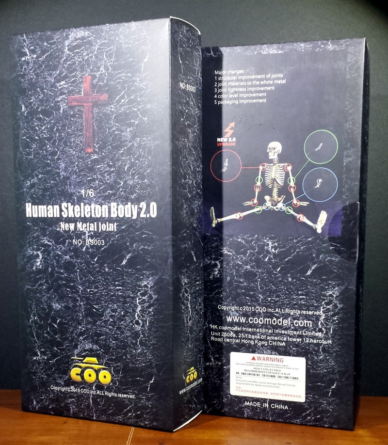 Human Skeleton sixth scale action figure by COO/COOMODEL