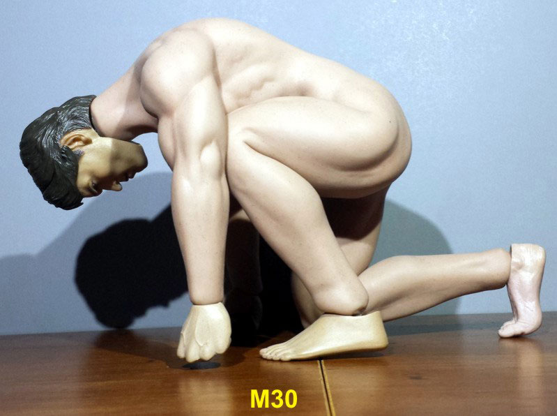 Sixth Scale M30, M31 seamless action figure bodies by Phicen